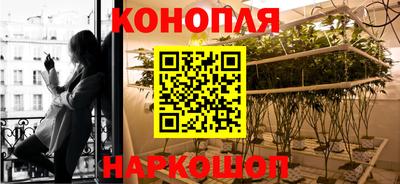 скорость Заводоуковск