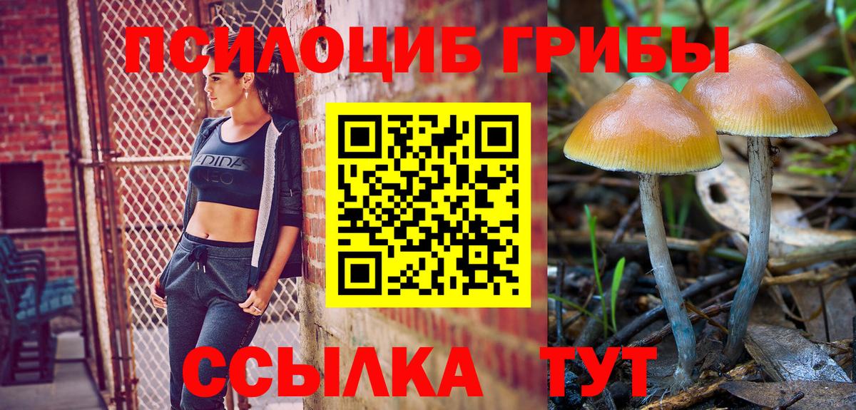 Псилоцибиновые грибы Psilocybe  Вход с VPN  Псилоцибиновые грибы мухоморы  Малгобек 